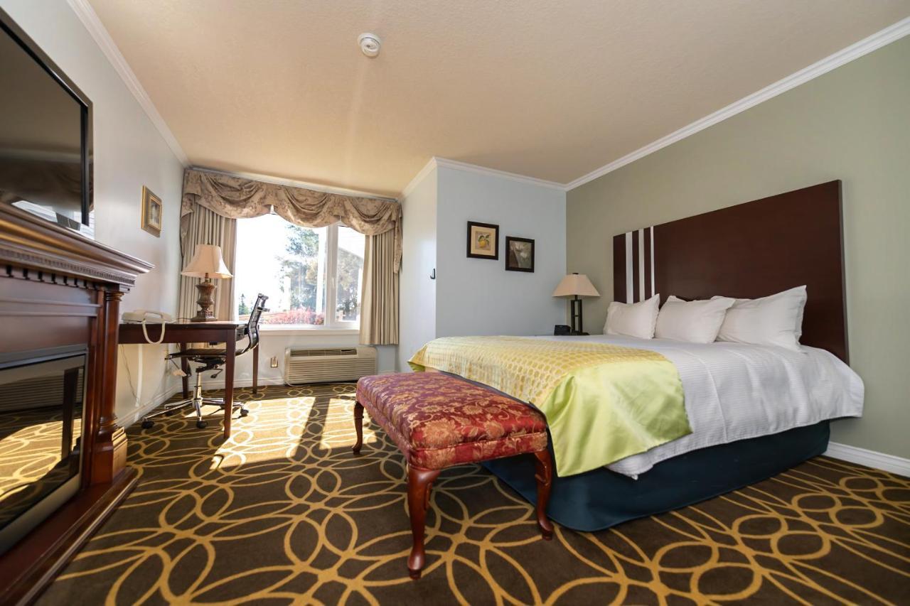 Auberge Gisele'S Inn Baddeck Inlet Esterno foto